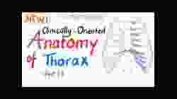 Clinically-Oriented Anatomy of the Thorax (part 1)