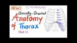 Clinically-Oriented Anatomy of the Thorax (part 1)