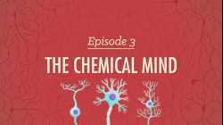 The Chemical Mind: Crash Course Psychology #3