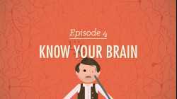 Meet Your Master - Getting to Know Your Brain: Crash Course Psychology #4