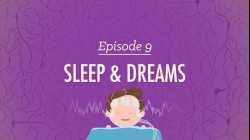 To Sleep, Perchance to Dream: Crash Course Psychology #9