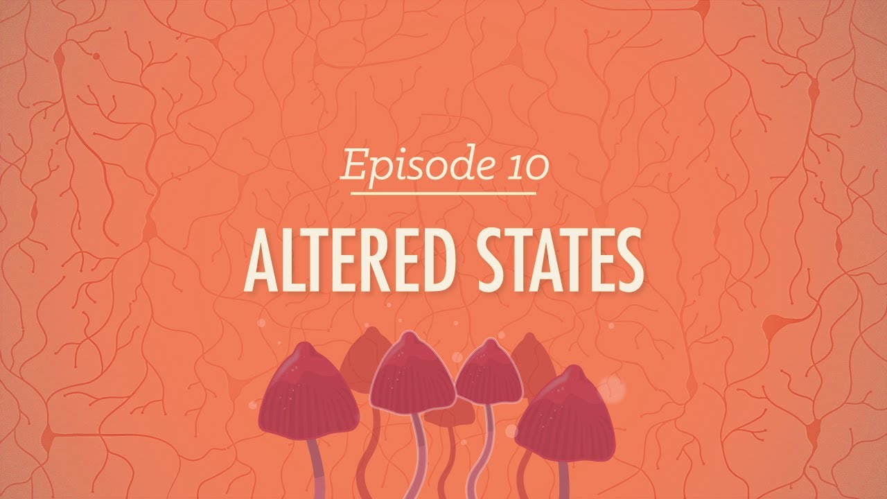 Altered States: Crash Course Psychology #10