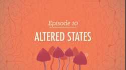 Altered States: Crash Course Psychology #10