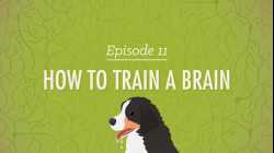 How to Train a Brain: Crash Course Psychology #11