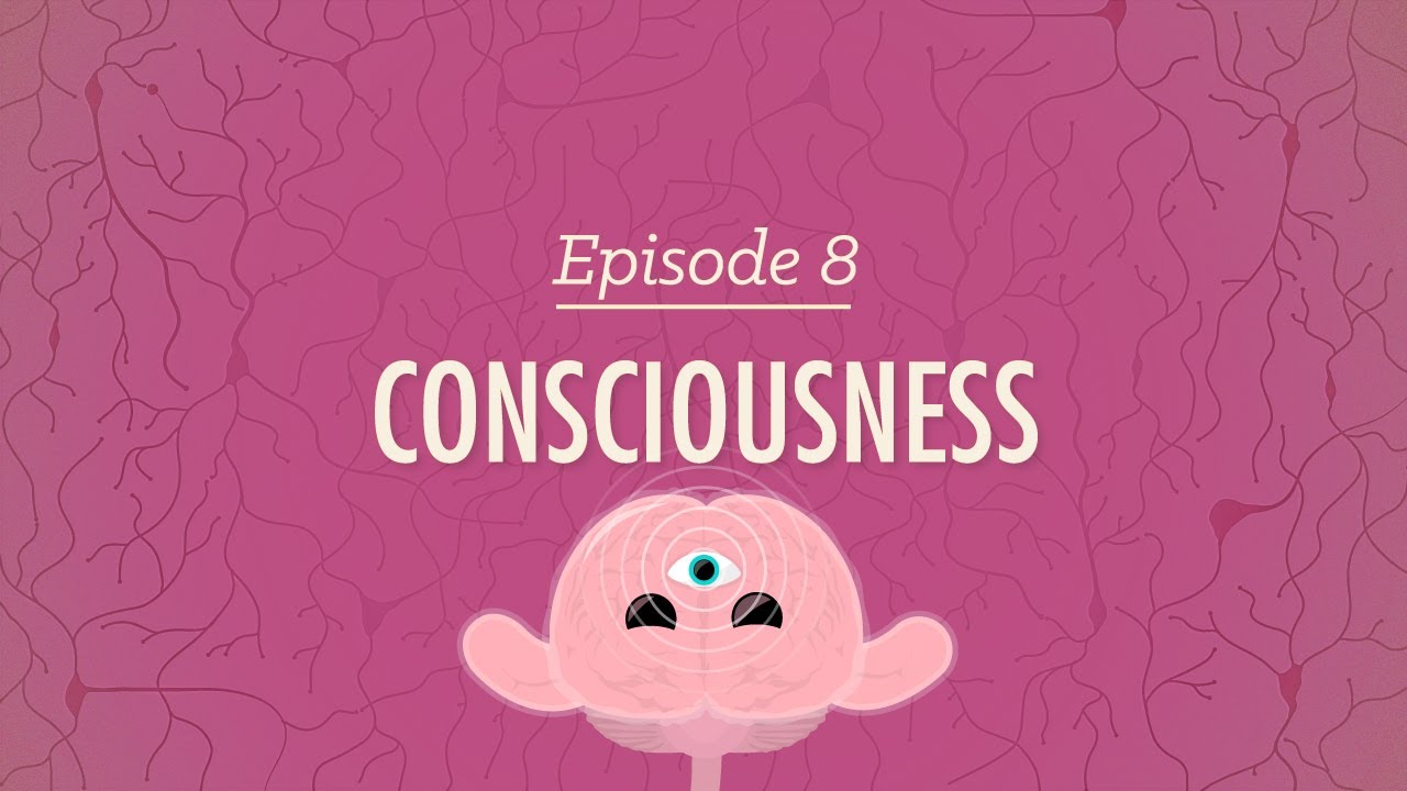 Consciousness: Crash Course Psychology #8