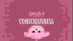 Consciousness: Crash Course Psychology #8