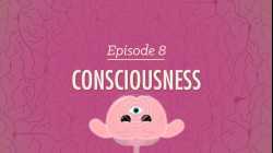 Consciousness: Crash Course Psychology #8