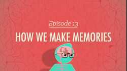 How We Make Memories: Crash Course Psychology #13
