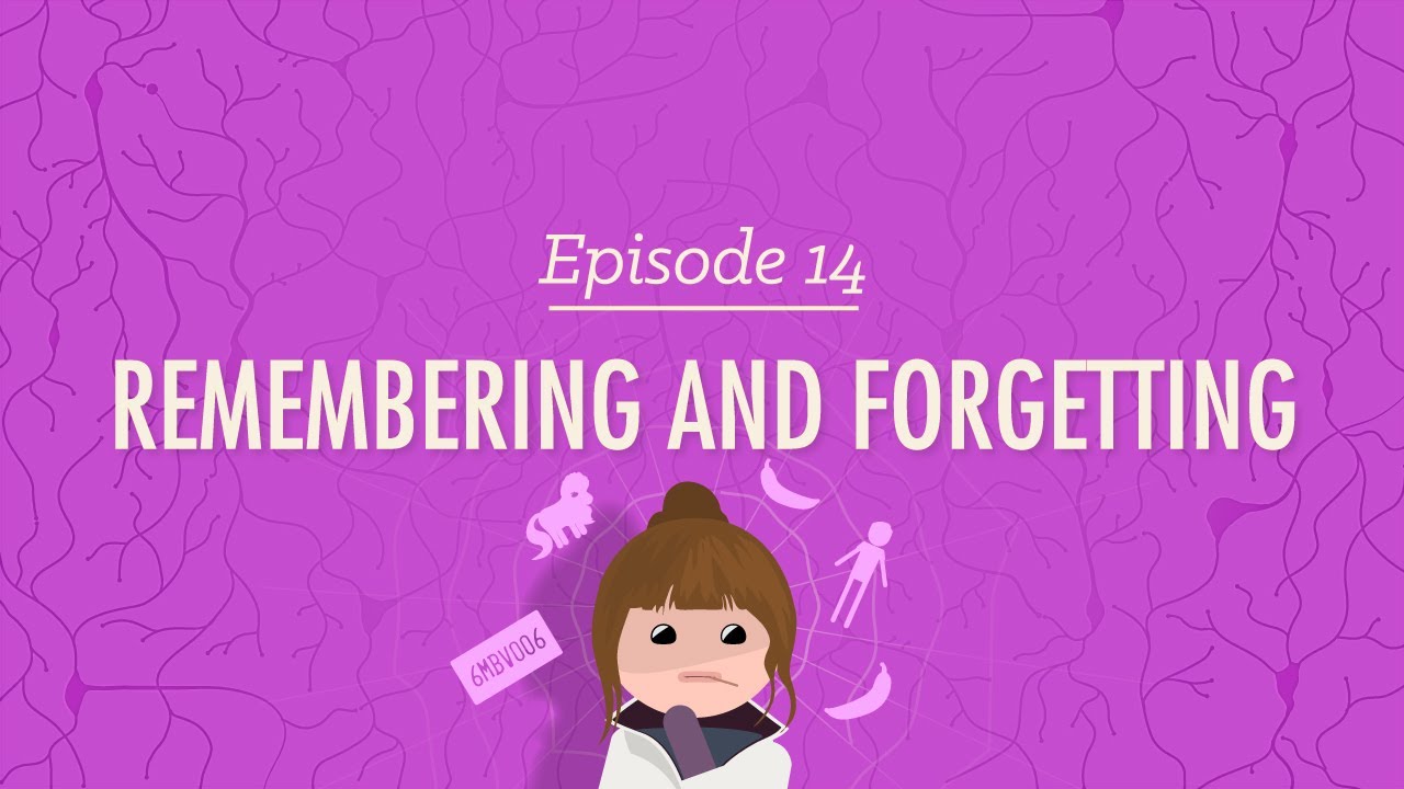 Remembering and Forgetting: Crash Course Psychology #14