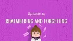 Remembering and Forgetting: Crash Course Psychology #14