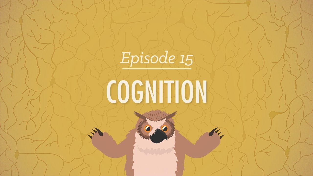 Cognition - How Your Mind Can Amaze and Betray You: Crash Course Psychology #15