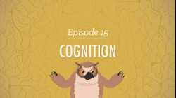 Cognition - How Your Mind Can Amaze and Betray You: Crash Course Psychology #15