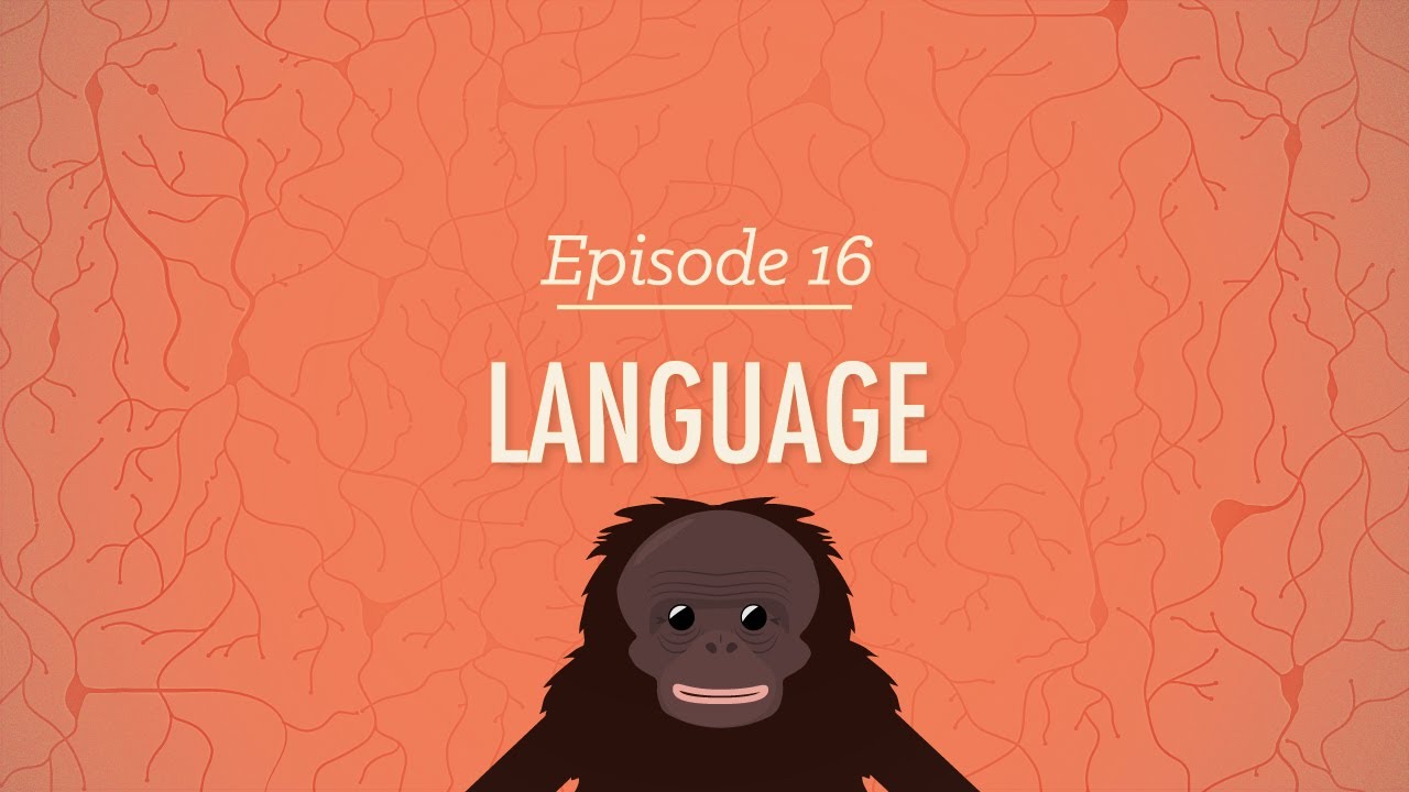 Language: Crash Course Psychology #16