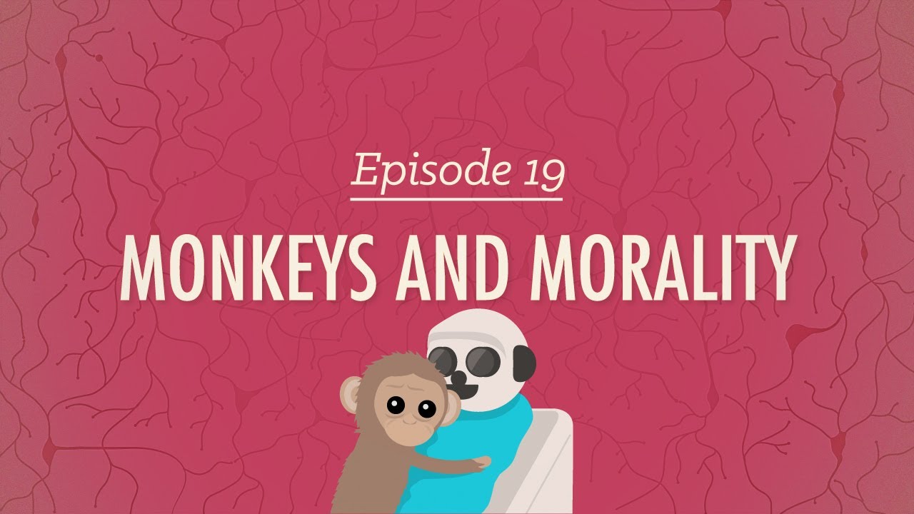 Monkeys and Morality: Crash Course Psychology #19