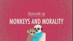 Monkeys and Morality: Crash Course Psychology #19