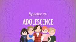 Adolescence: Crash Course Psychology #20