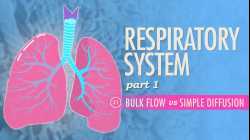Respiratory System, Part 1: Crash Course A&P #31