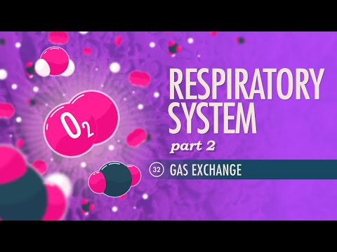 Respiratory System, Part 2: Crash Course A&P #32