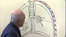 Respiratory System 3, Pleural membranes and breathing