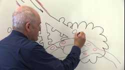 Respiratory System 4, Alveoli and gaseous exchange