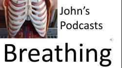 Respiratory System 5, Podcast on breathing