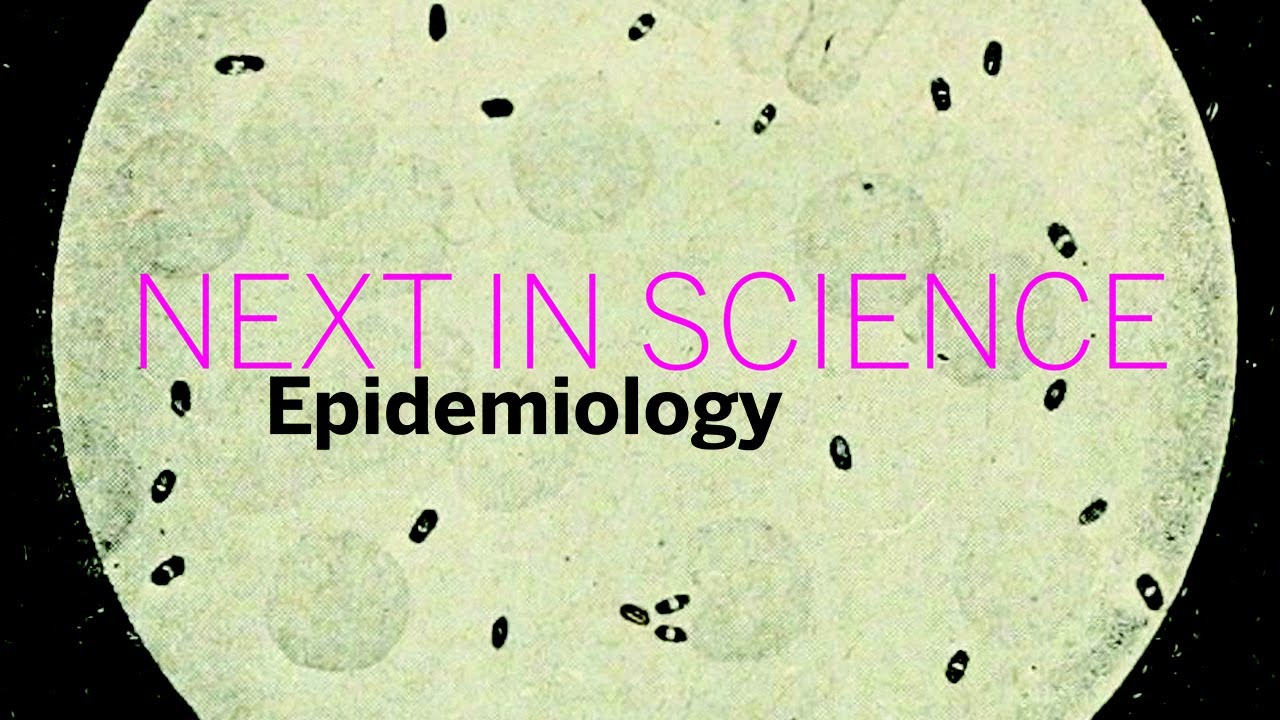 Next in Science: Epidemiology | Part 1 || Radcliffe Institute