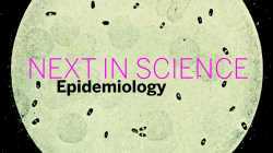 Next in Science: Epidemiology | Part 1 || Radcliffe Institute