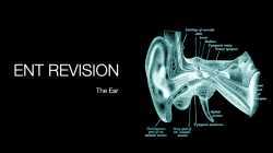 ENT Revision - The Ear