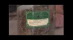 Herbal Healing : Alternative Herbal Treatments