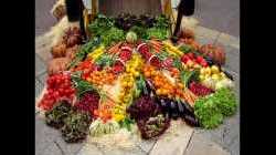 18  Vegeterijanstvo 1