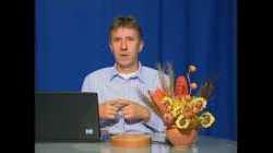 02  Fizicka aktivnost 2