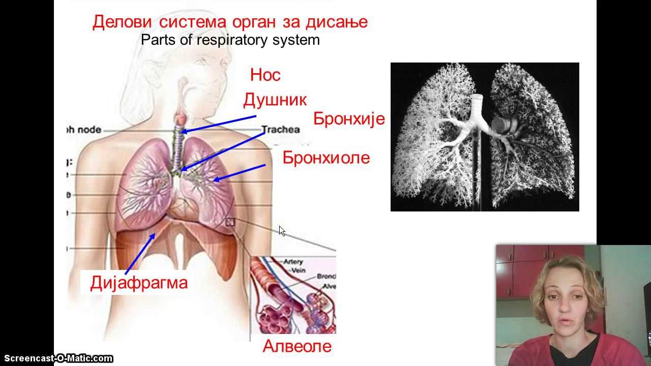 Izokrenuta učionica -- Disanje