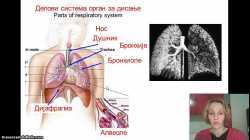 Izokrenuta učionica -- Disanje