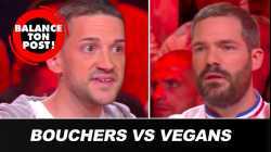 Le débat de Balance Ton Post : Bouchers VS Vegans !