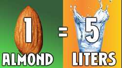 10 Ways Vegans Are Ruining The World