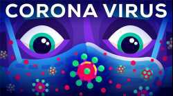 The Coronavirus Explained & What You Should Do