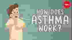 How does asthma work? - Christopher E. Gaw