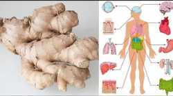 Health Benefits of Ginger - What is ginger good for?