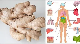 Health Benefits of Ginger - What is ginger good for?