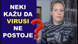 Neki kažu da virusi ne postoje?/dr Bojana Mandić