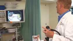 What Happens During a Colonoscopy?